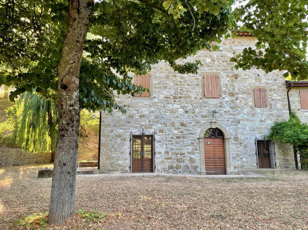 Ferienwohnung Sambuco Di Sopra Fratticciola Selvatica Exterior foto