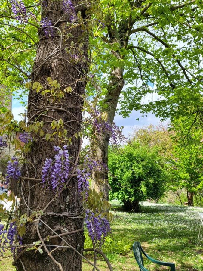 Ferienwohnung Sambuco Di Sopra Fratticciola Selvatica Exterior foto